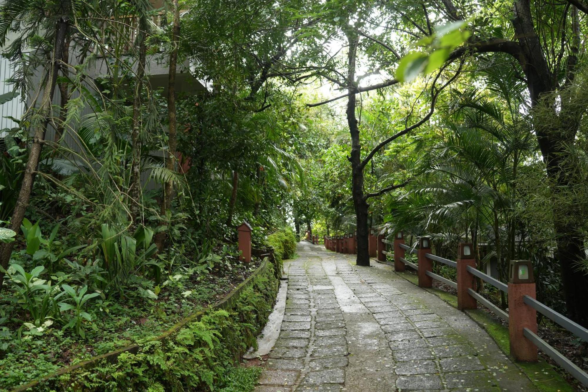 Wayanad Silverwoods Forest Resort & Spa Padinjarathara Экстерьер фото
