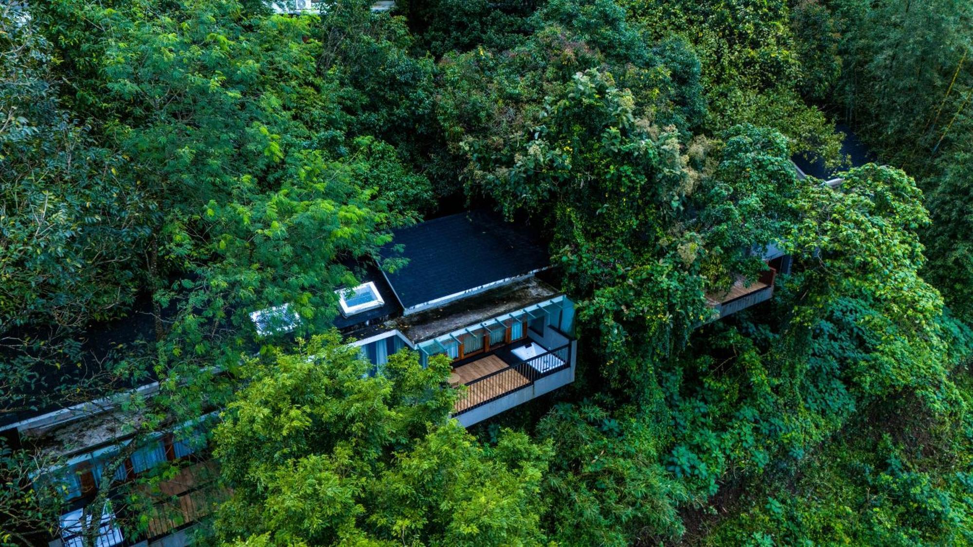 Wayanad Silverwoods Forest Resort & Spa Padinjarathara Экстерьер фото
