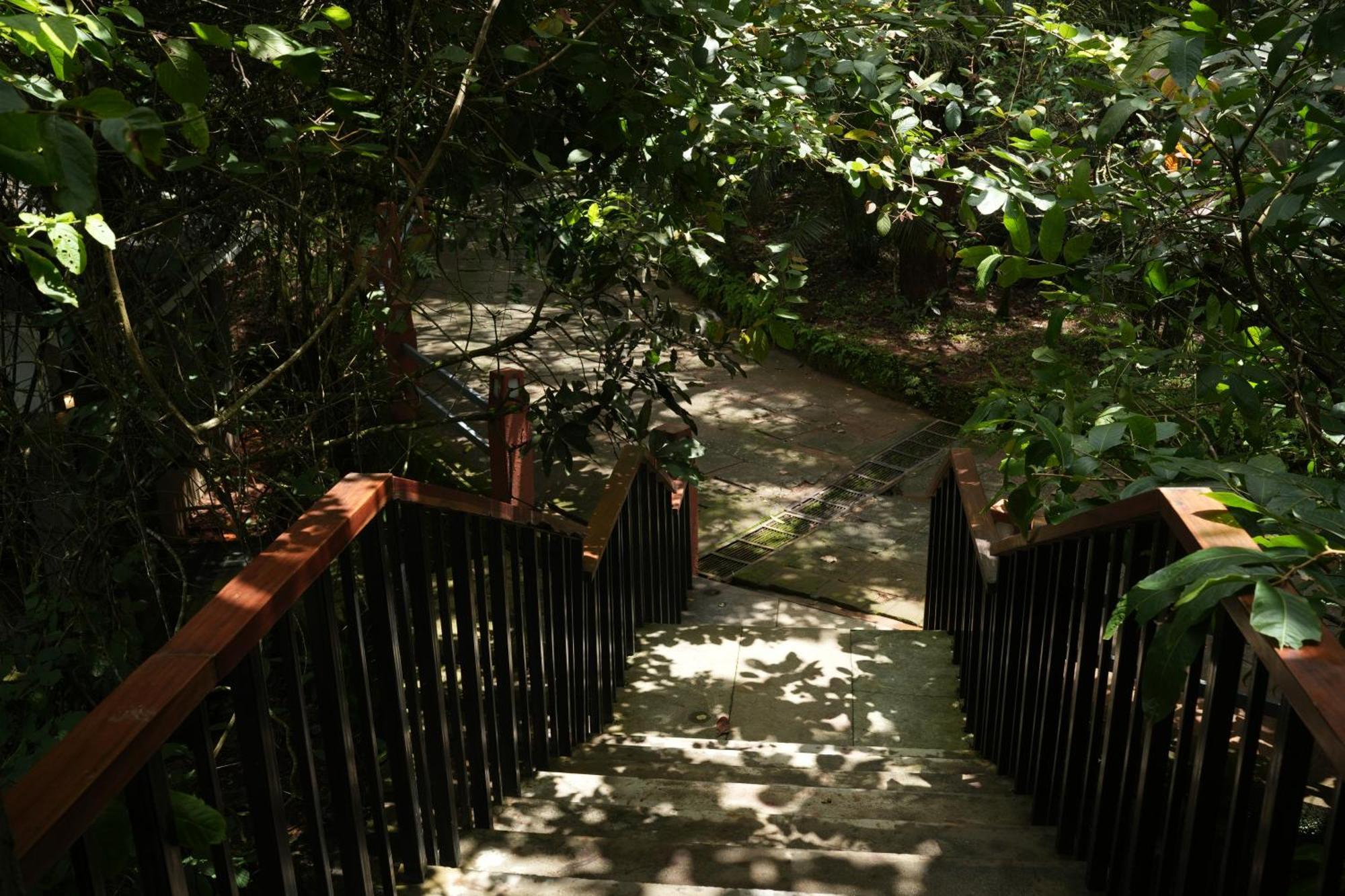 Wayanad Silverwoods Forest Resort & Spa Padinjarathara Экстерьер фото