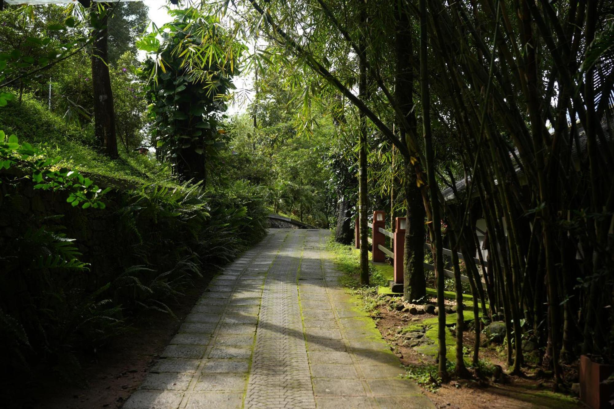 Wayanad Silverwoods Forest Resort & Spa Padinjarathara Экстерьер фото