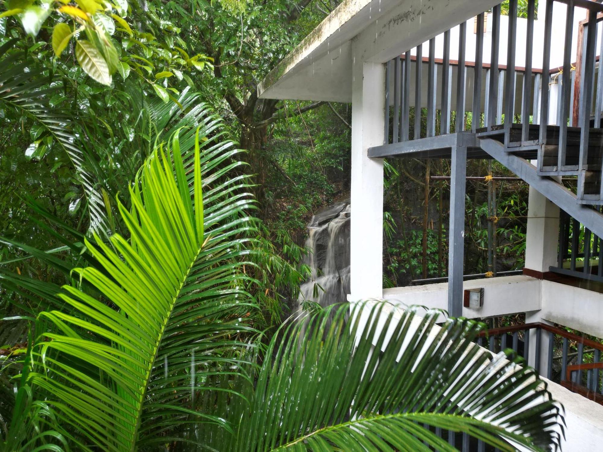 Wayanad Silverwoods Forest Resort & Spa Padinjarathara Экстерьер фото