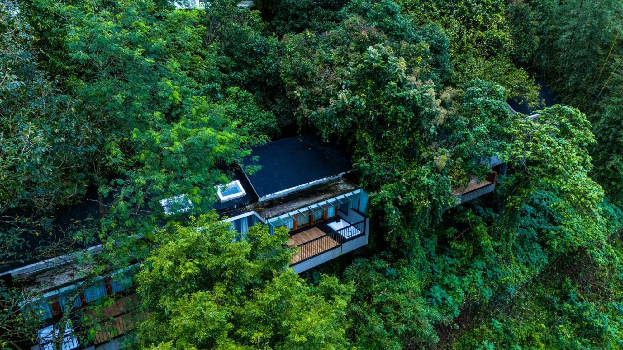 Wayanad Silverwoods Forest Resort & Spa Padinjarathara Экстерьер фото